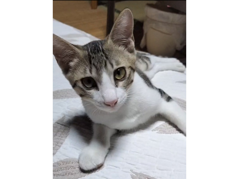 一緒に寝てくれる甘えん坊君☺️