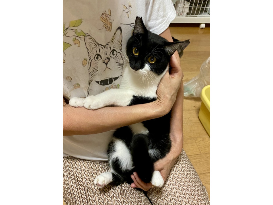 愛嬌のあるかわいいお顔してます