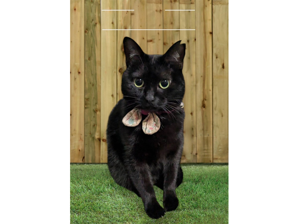 丸っこ可愛い！綾ちゃんです