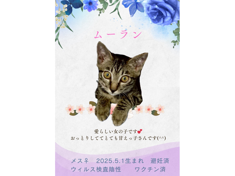 ミルクから育った4兄妹