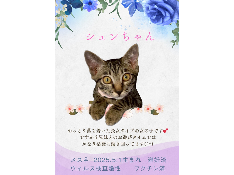 ミルクから育った4兄妹