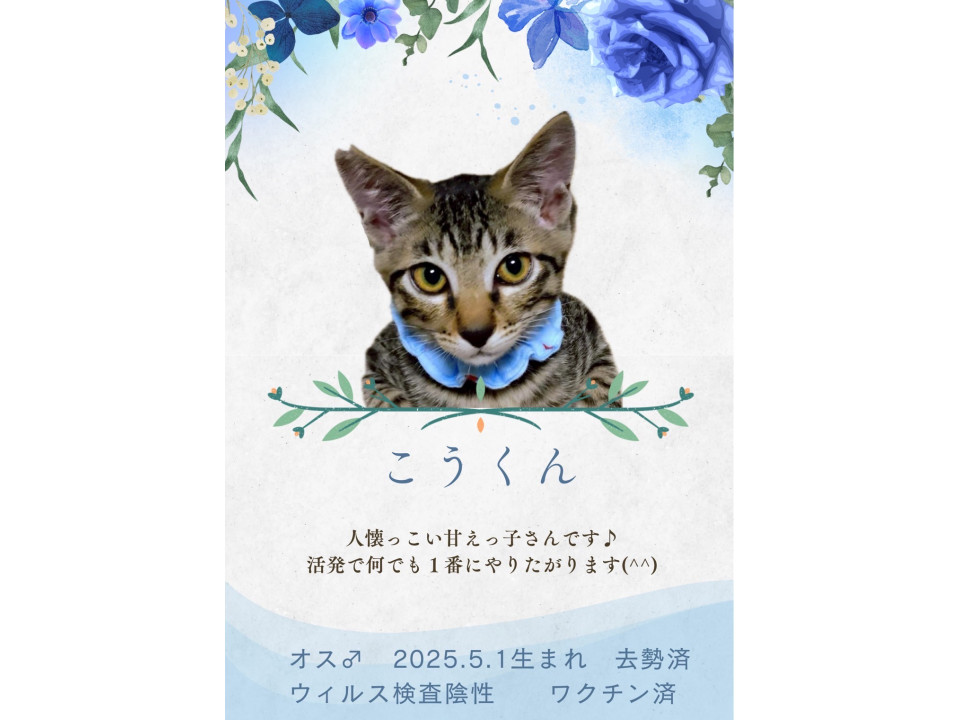 ミルクから育った4兄妹