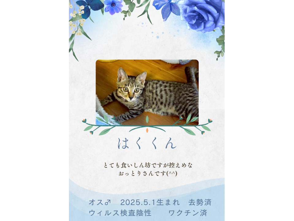 ミルクから育った4兄妹