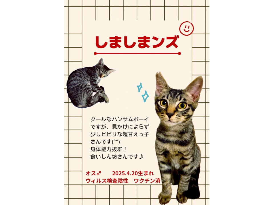 身体能力バツグン✨