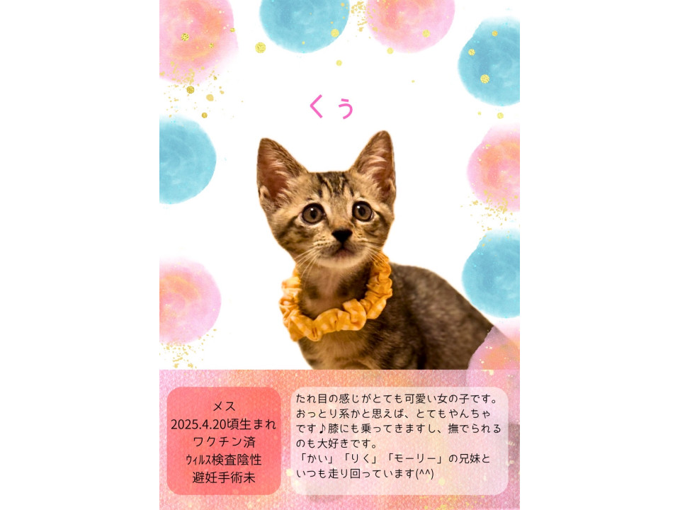 おてんば甘えん坊