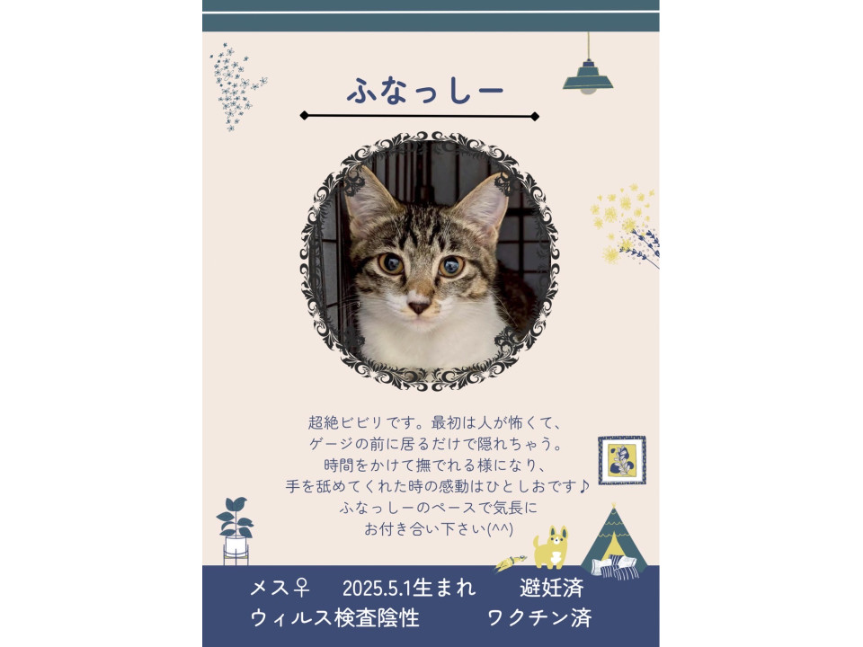 ビビリちゃん