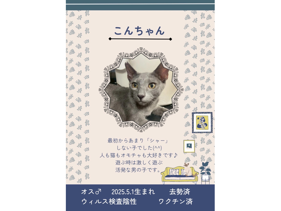 きれいなグレー