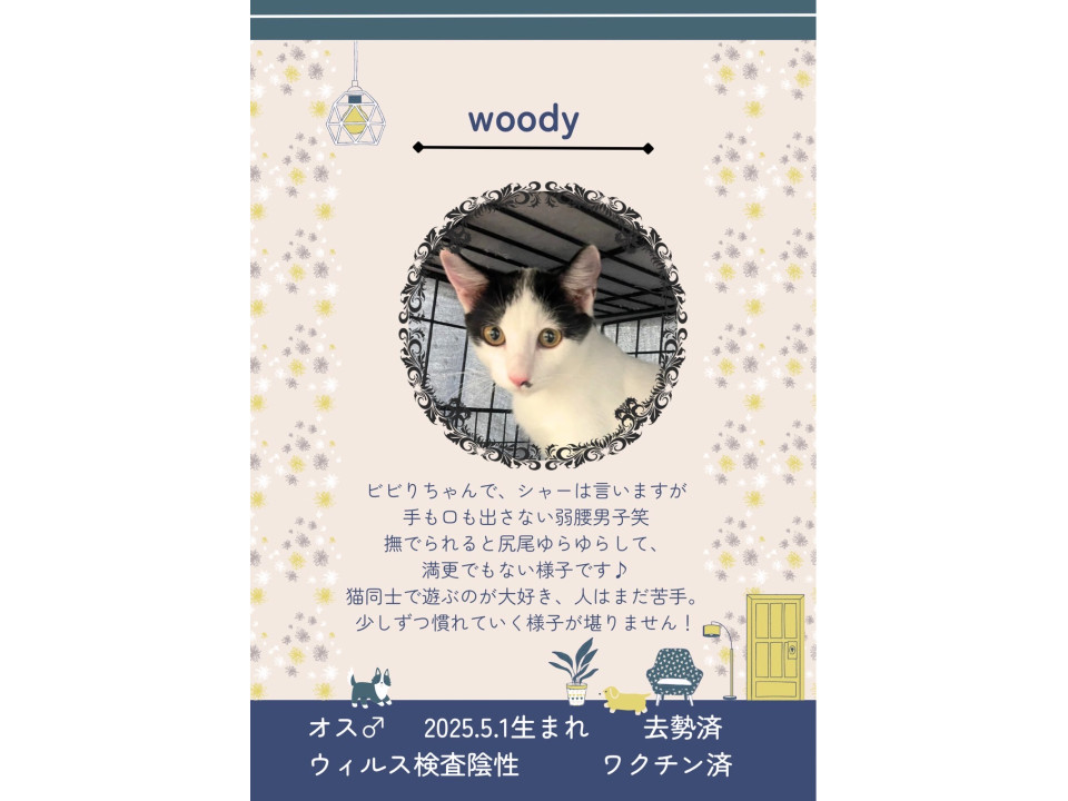 もしかするとツンデレ!?
