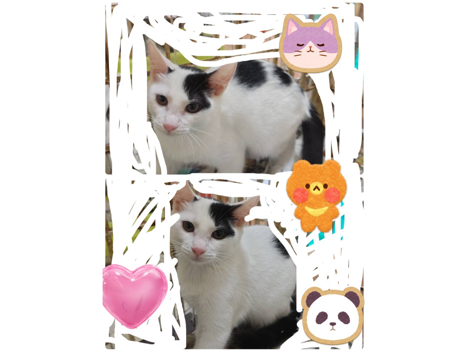 面白い模様だねー?