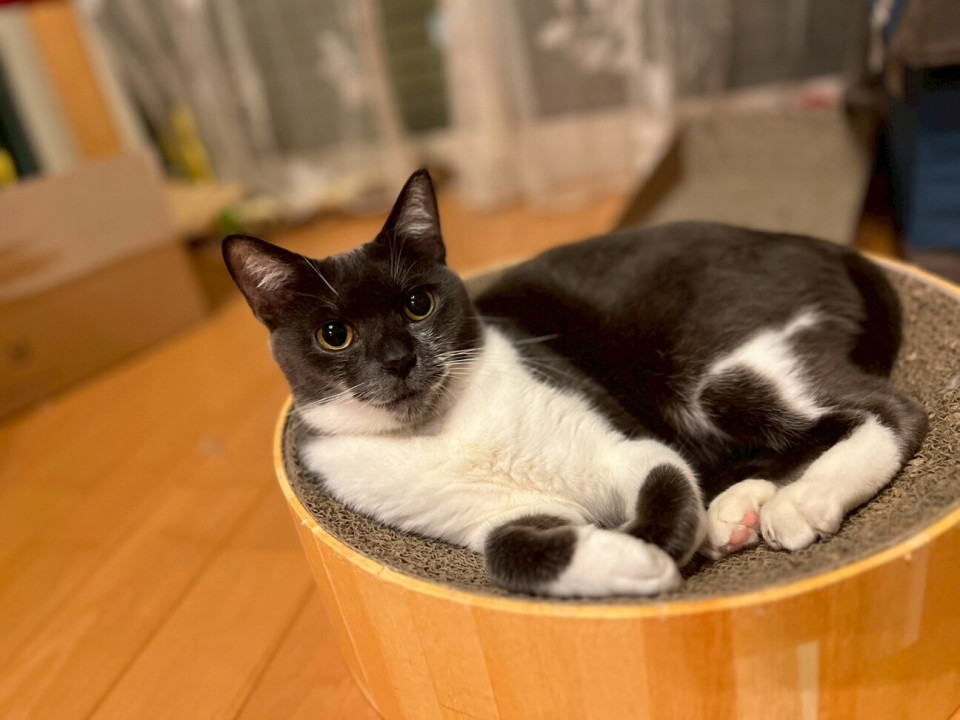 人間大好き♡遊ぶの大好き♡ あい♀