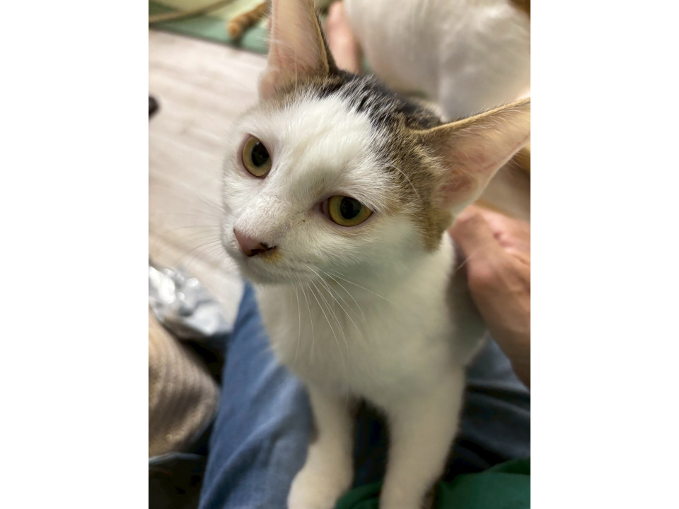 一緒に添い寝したいノアちゃん