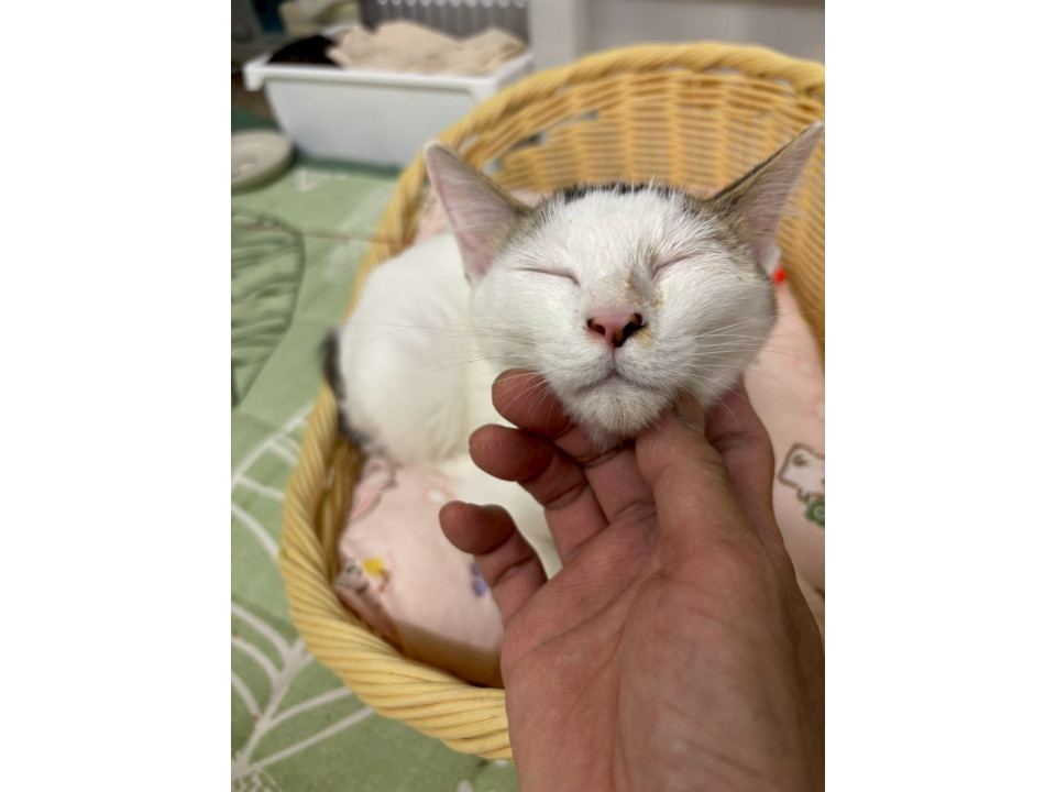 一緒に添い寝したいノアちゃん