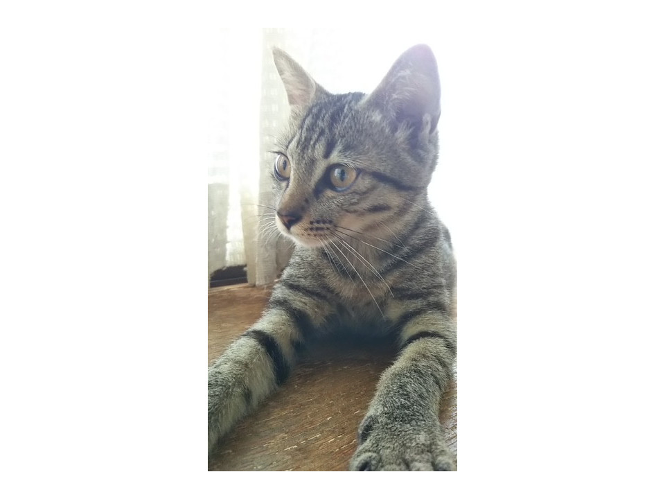 後追い甘えん坊ちゃん