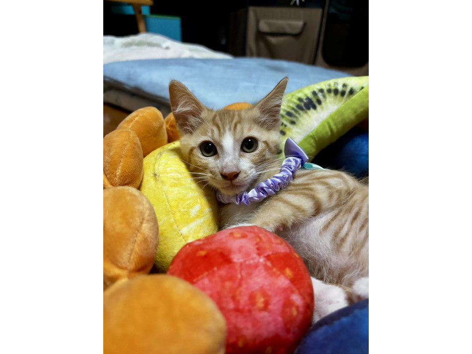 キュンキュンBOY❣️ぼん君