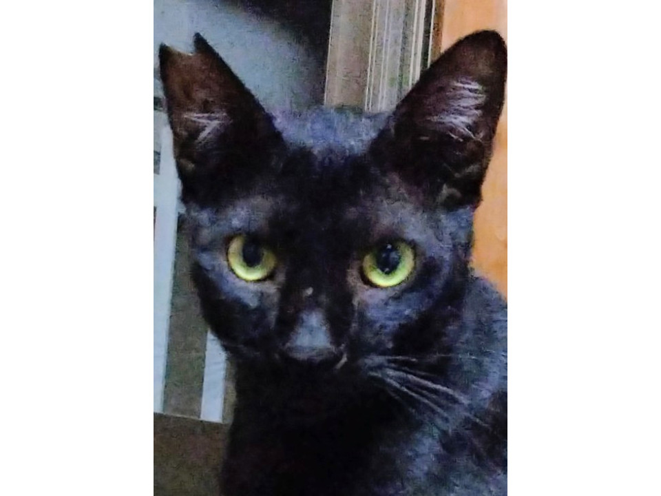 ♥️愛ちゃん♥️