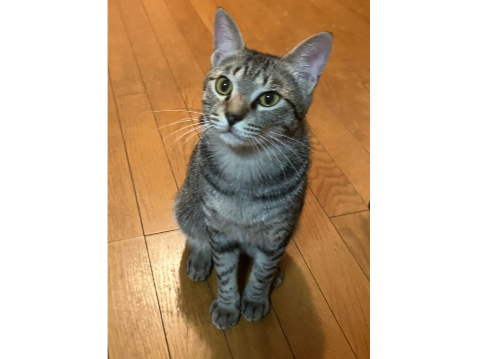 可愛いくてイケメンふくちゃん