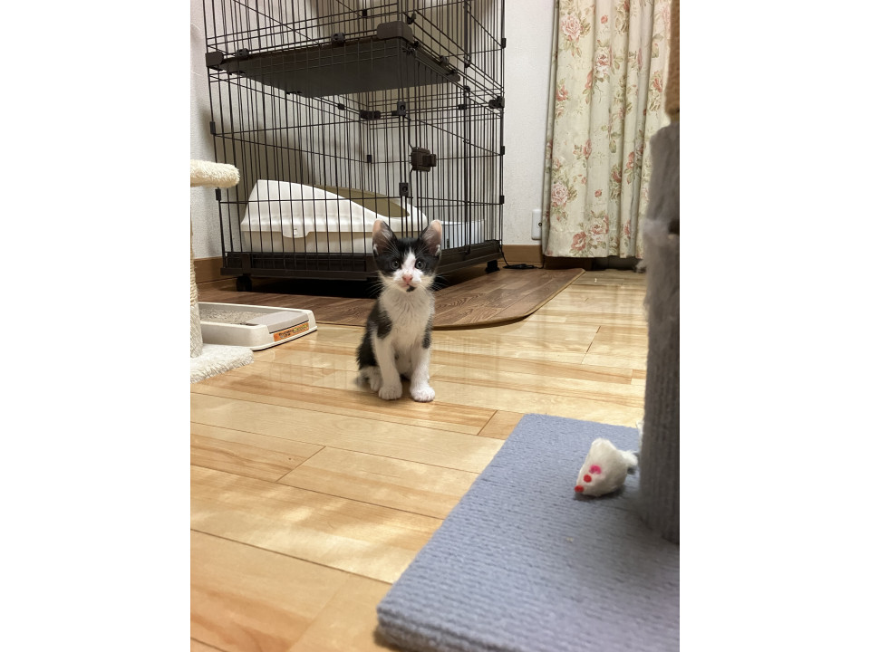 可愛いおちびちゃん