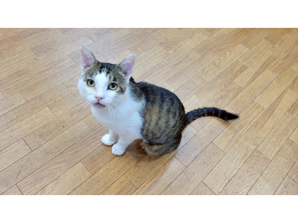 めちゃくちゃ甘えん坊!! グラン♂