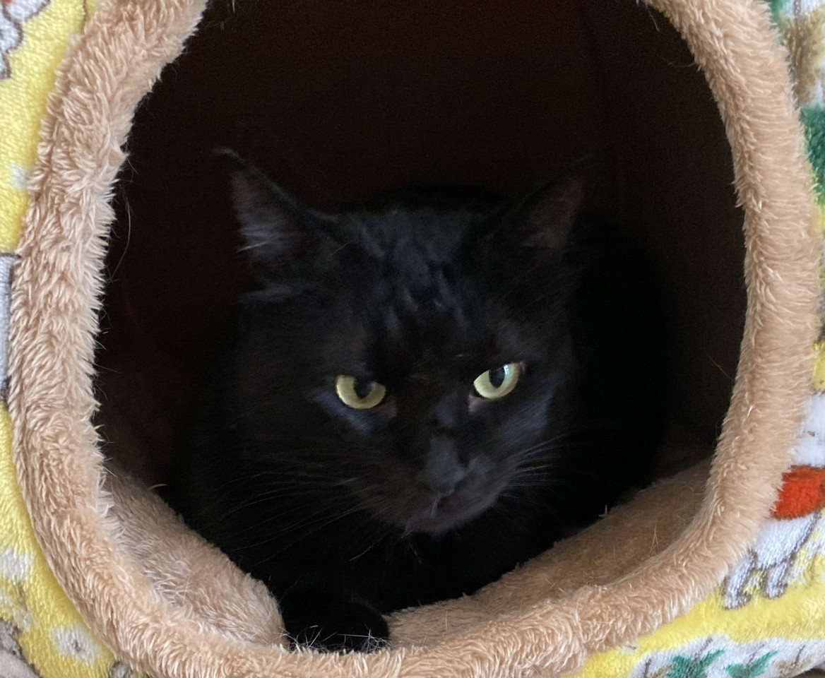 僕だけを愛して❣️高齢者OK❗️