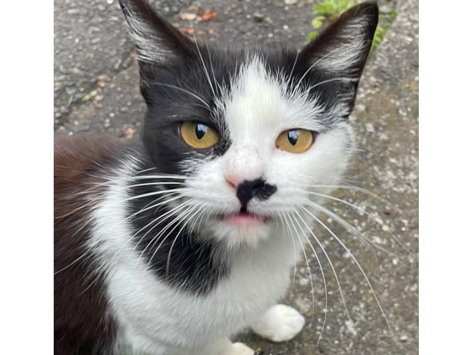 小柄でキュートな女子です