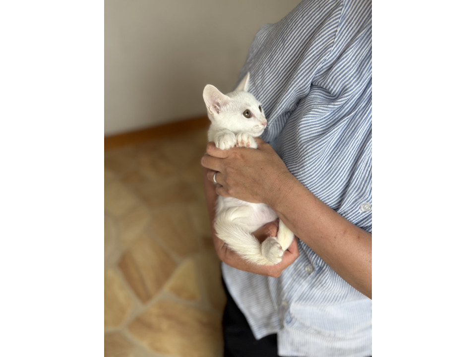 シャーッ好きにはたまらないダイオウくん♡