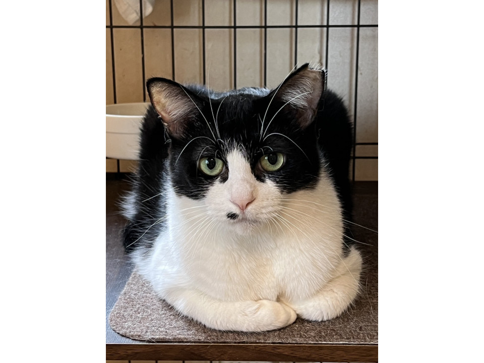 真琴☆2-3歳くらい