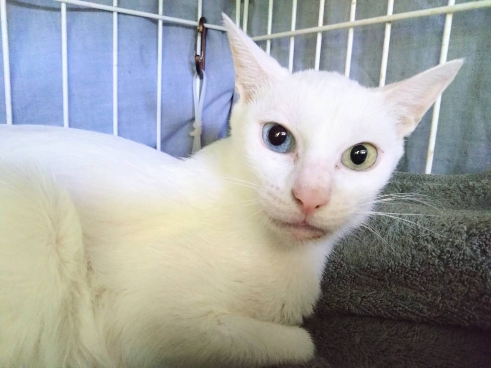 きのぼりこ☆1歳くらい