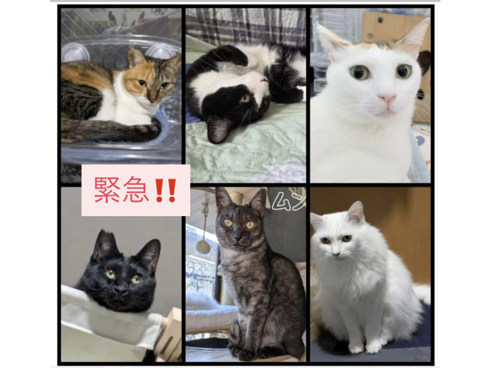 緊急!!助けてください!!