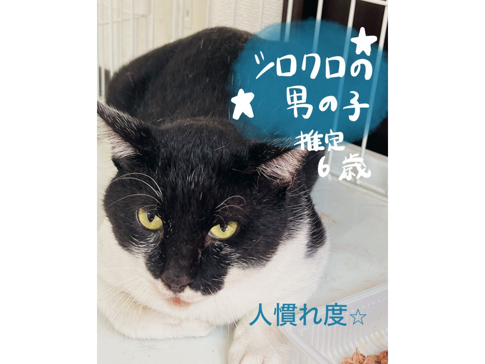 シロクロの男の子⟡.·