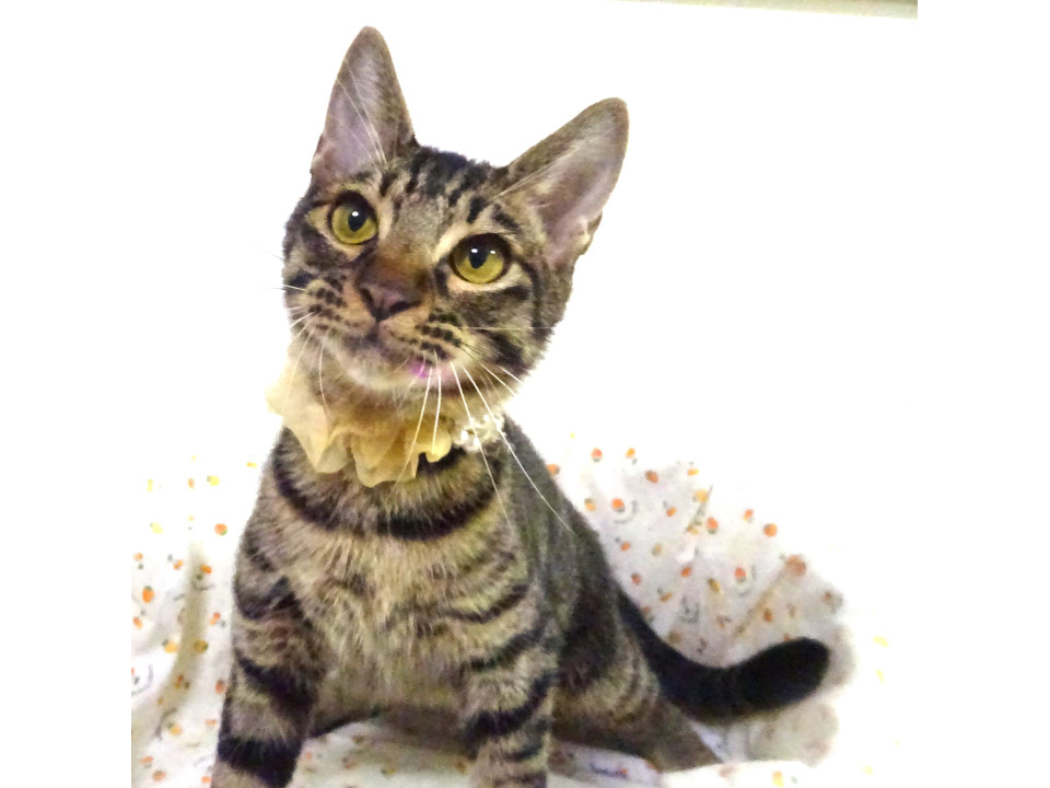 兄妹と仲良し、莉音くん