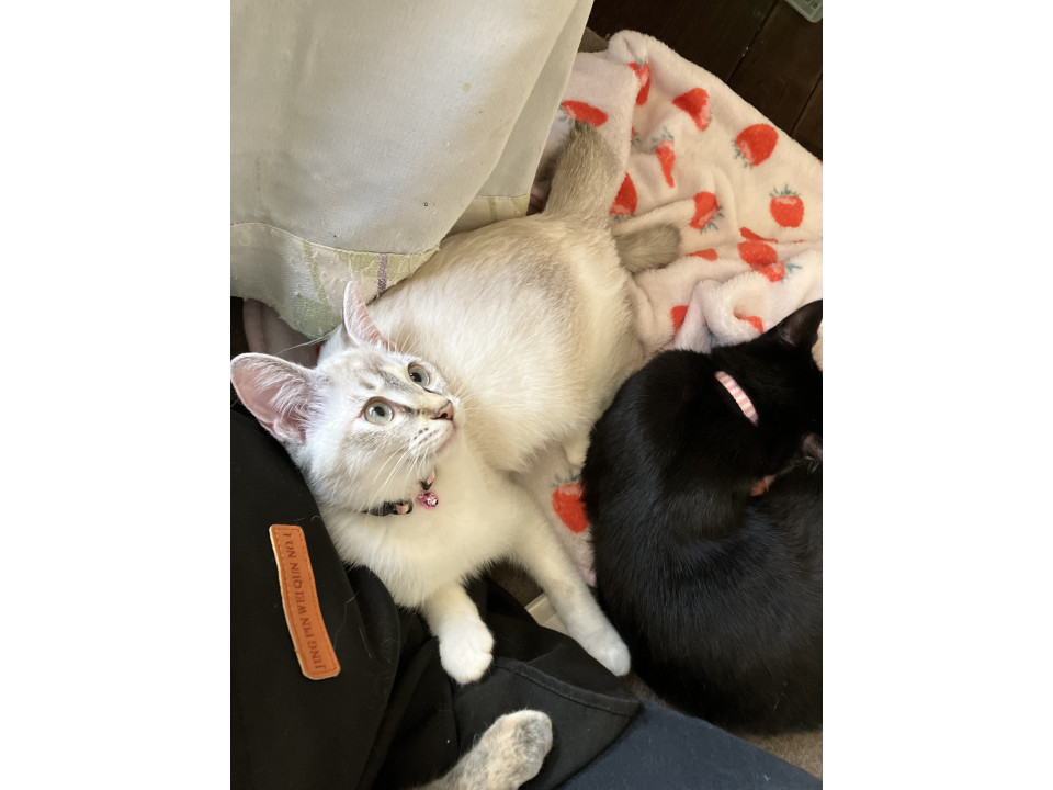 天然おとぼけ寄り目ちゃん