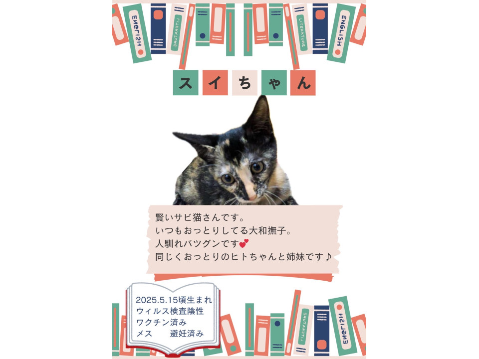 賢いサビ猫さん!
