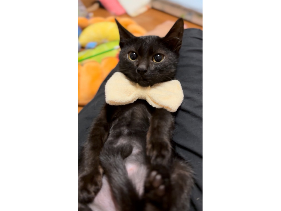 キラキラ瞳の甘えん坊はづきくん♡