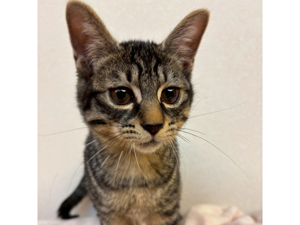 12/21カインズ浦和美園参　 晴輝くん