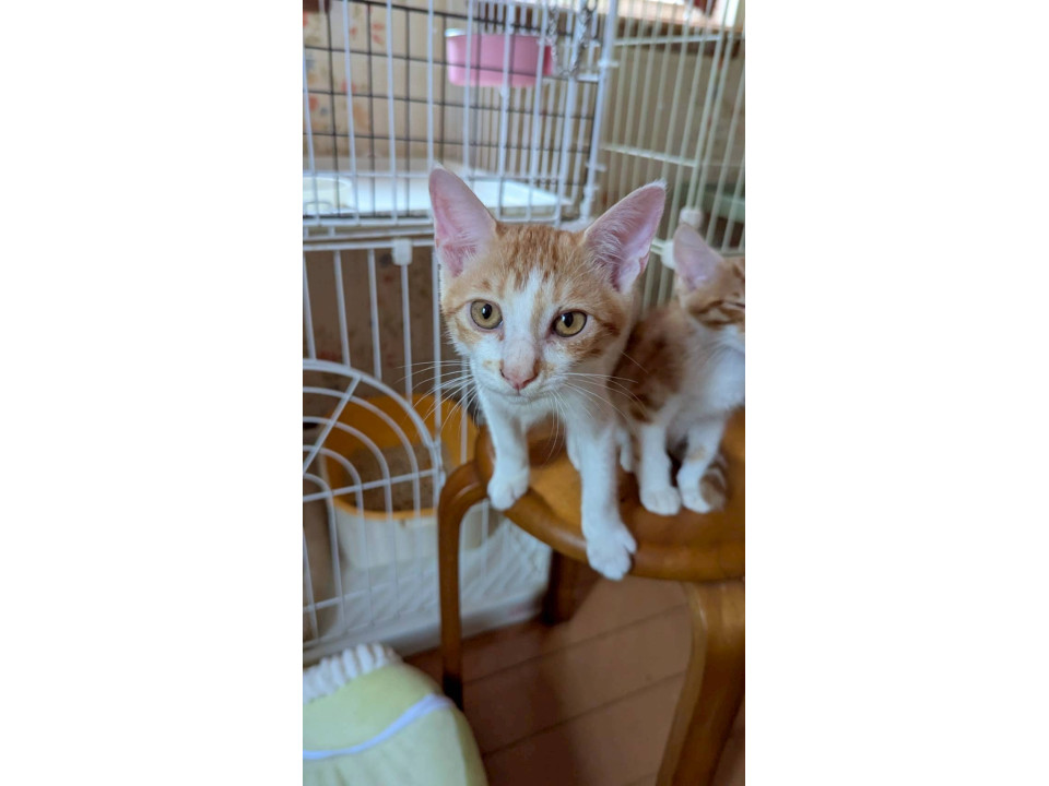 元気いっぱい⭐︎サザンちゃん