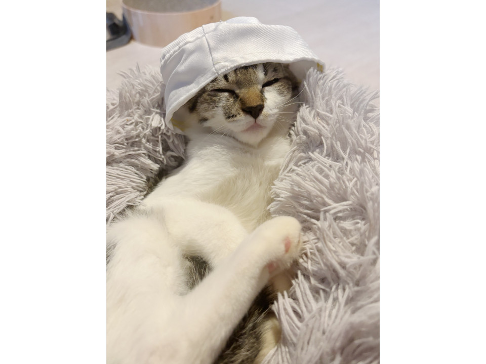 おねむのネム君いっぱいあそんでね♡