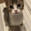 ちいちゃん