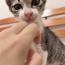 ニコちゃん