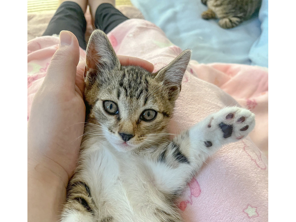 甘々ボーイ♡生後1〜2ヶ月の男の子