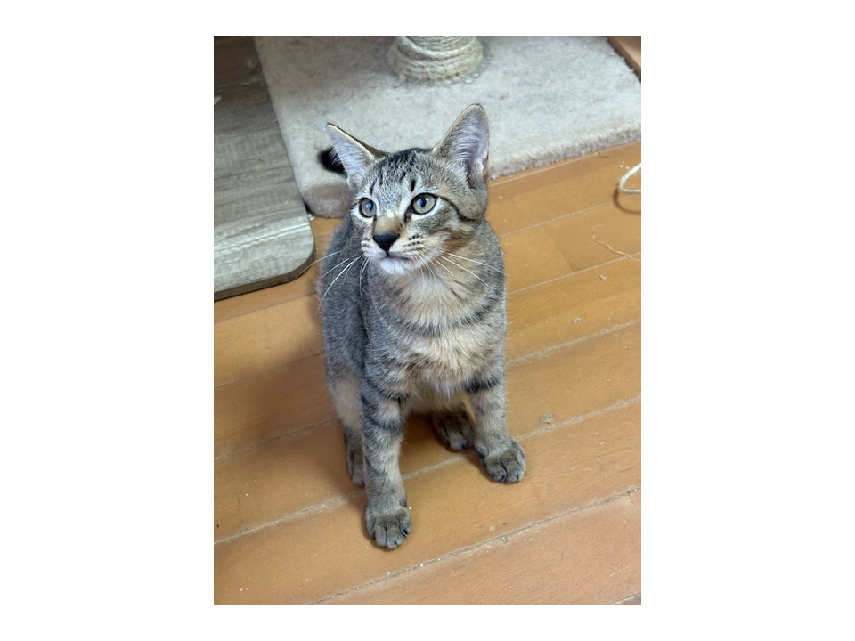 やんちゃ坊主君です。