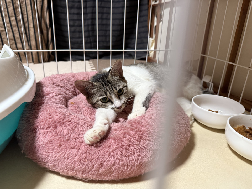 幸せにしてあげてください