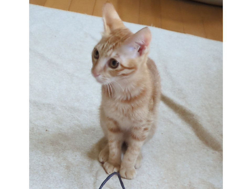 ♡性格抜群、かわいい人が大好きな男の子♡