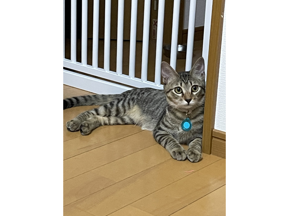 元気いっぱい4兄妹