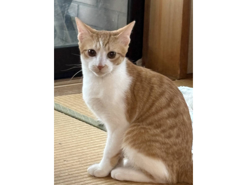 長男坊