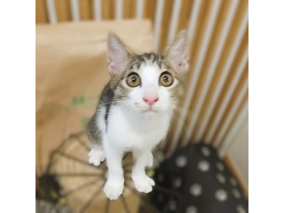 ◆10/13◆おっとり天然食いしんぼ❤