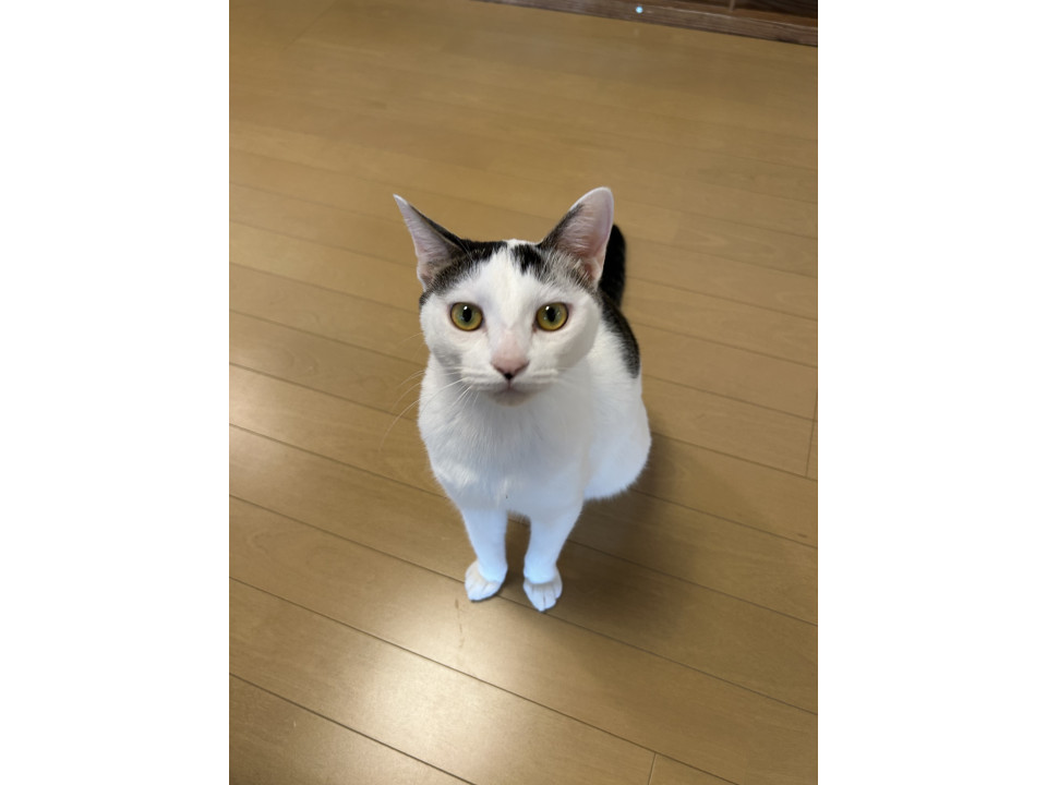 とにかくやんちゃな女の子