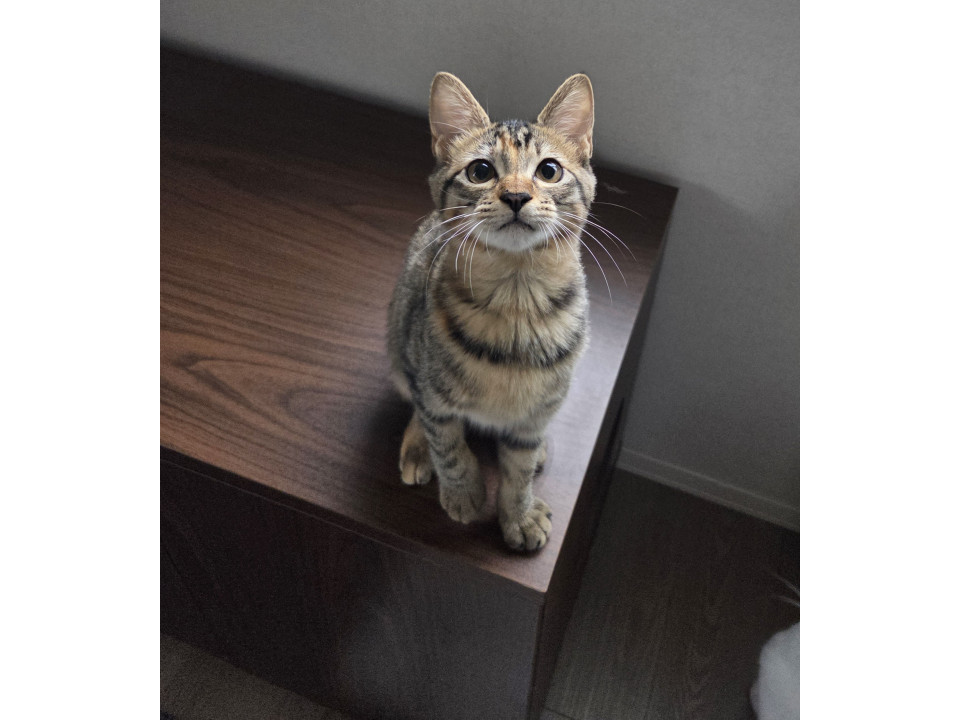元気いっぱい!!