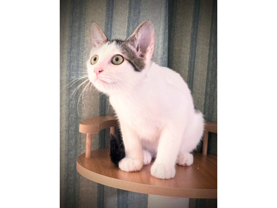 げんきいっぱい?ぴーちゃん❣️