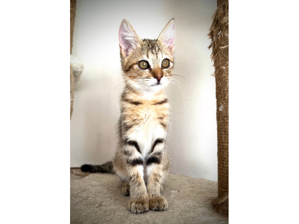 かわいいグリちゃん❣️