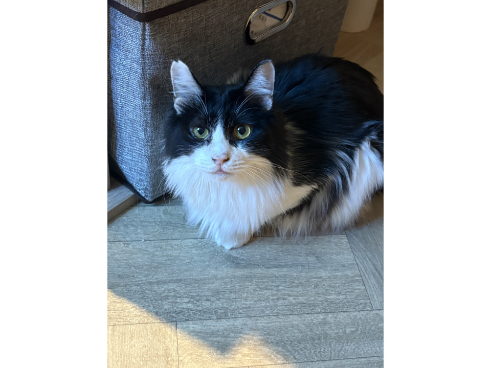 動画あり★12/7譲渡会＠船橋